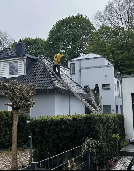 Dachreinigung – Bild 1