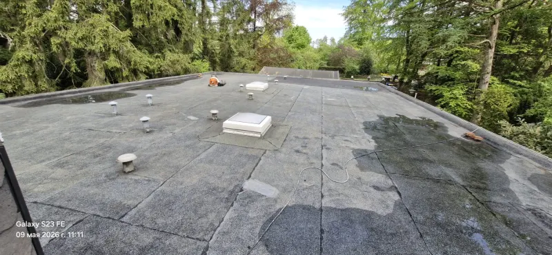 Dachreinigung – Bild 1